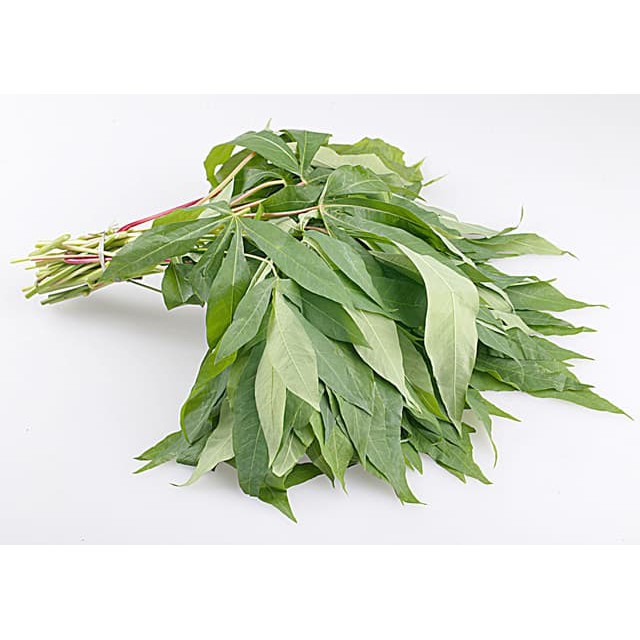 Daun Singkong 1ikat