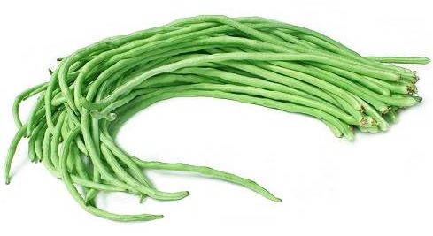 Kacang Panjang 1 ikat